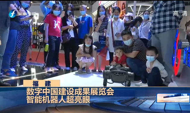 数字中国建设成果展览会智能机器人超亮眼
